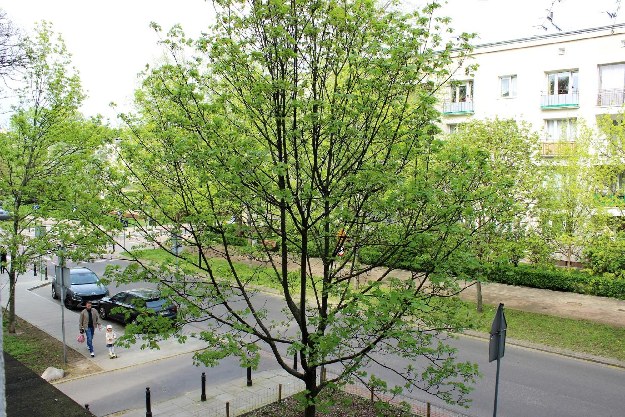 Labo Karmelicka